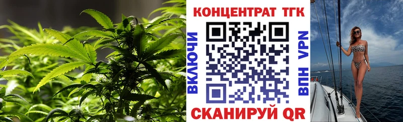 Купить где  Куйбышев  ТГК концентрат 